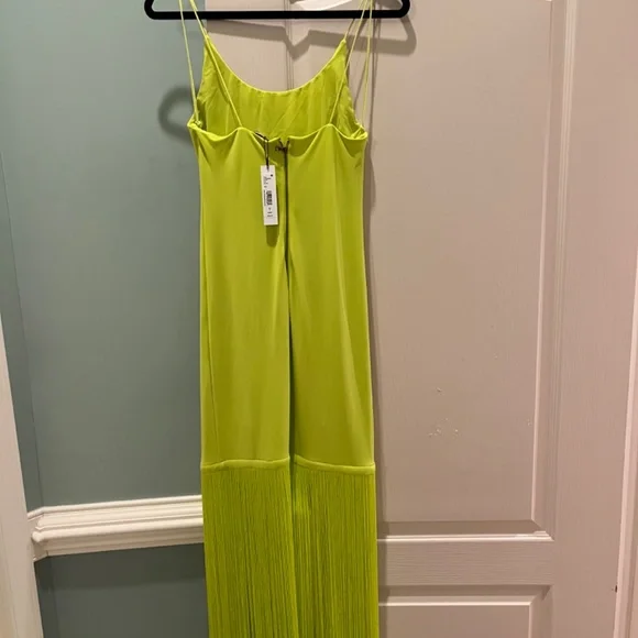 ALICE & OLIVIA CIRTON FRINGE DRESS - Picture 3 of 4